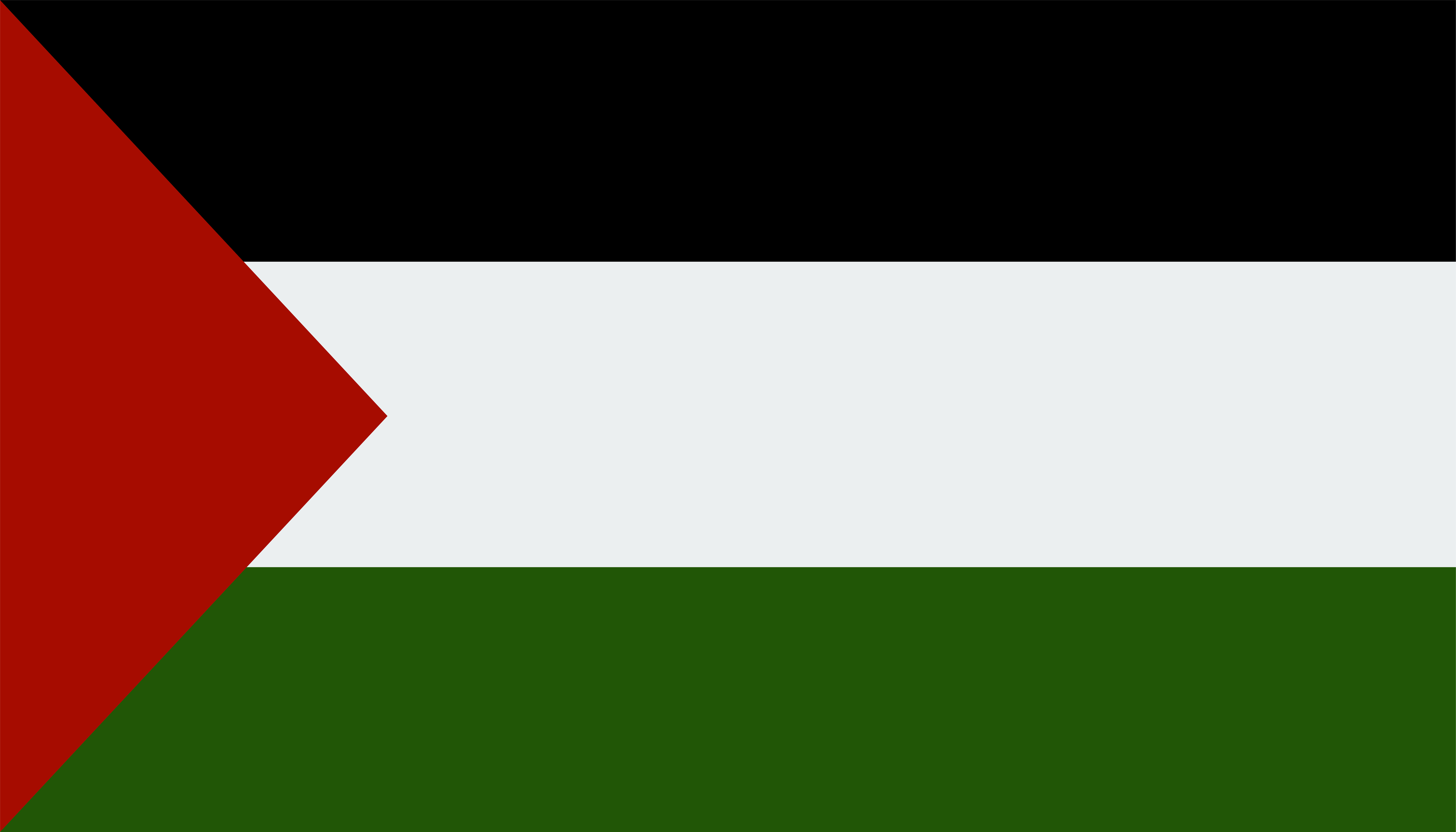 Palestine Flag